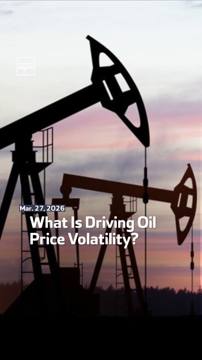 What Is Driving Oil Price Volatility?