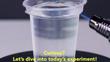 Curious? Let’s dive into today’s experiment!