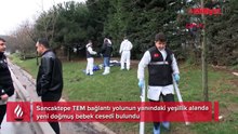 Sancaktepe'de korkunç olay! Yol kenarında yeni doğmuş bebek cesedi bulundu