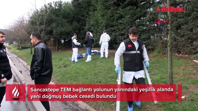 Sancaktepe'de korkunç olay! Yol kenarında yeni doğmuş bebek cesedi bulundu