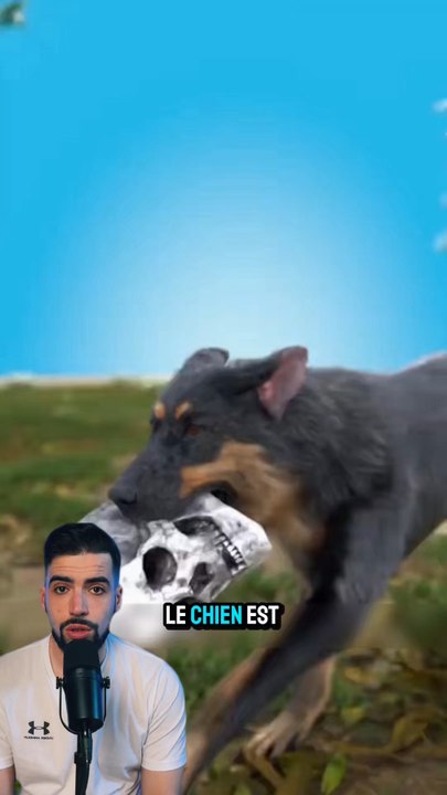 Il a trouvé un os