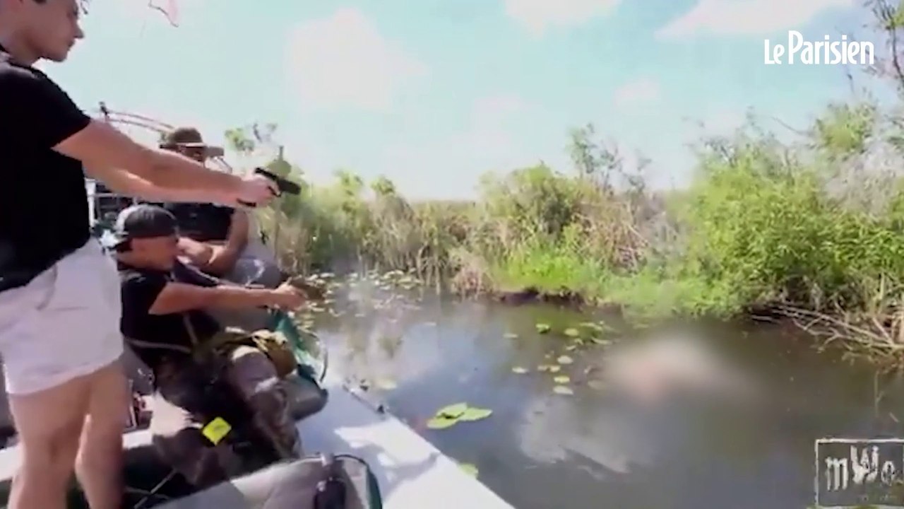 Le streameur « Clavicular » accusé d’avoir tiré 25 fois sur un alligator