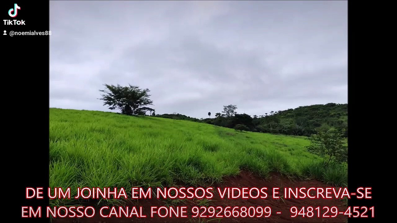 FAZENDA COM 55 ALQUEIRÃO A VENDA CMC