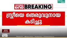 പാമ്പിനെ കണ്ട് പേടിച്ചോടി; നേരെ ചെന്നത് തെരുവ് നായുടെ മുന്നിലേക്ക്