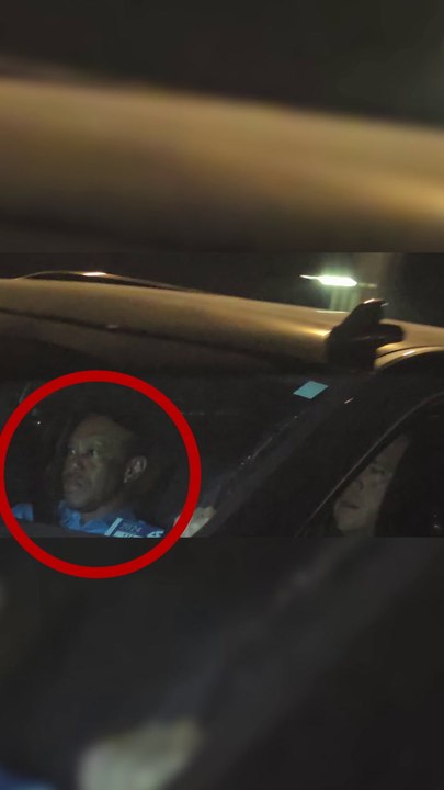 Tiger Woods released from jail after being arre...