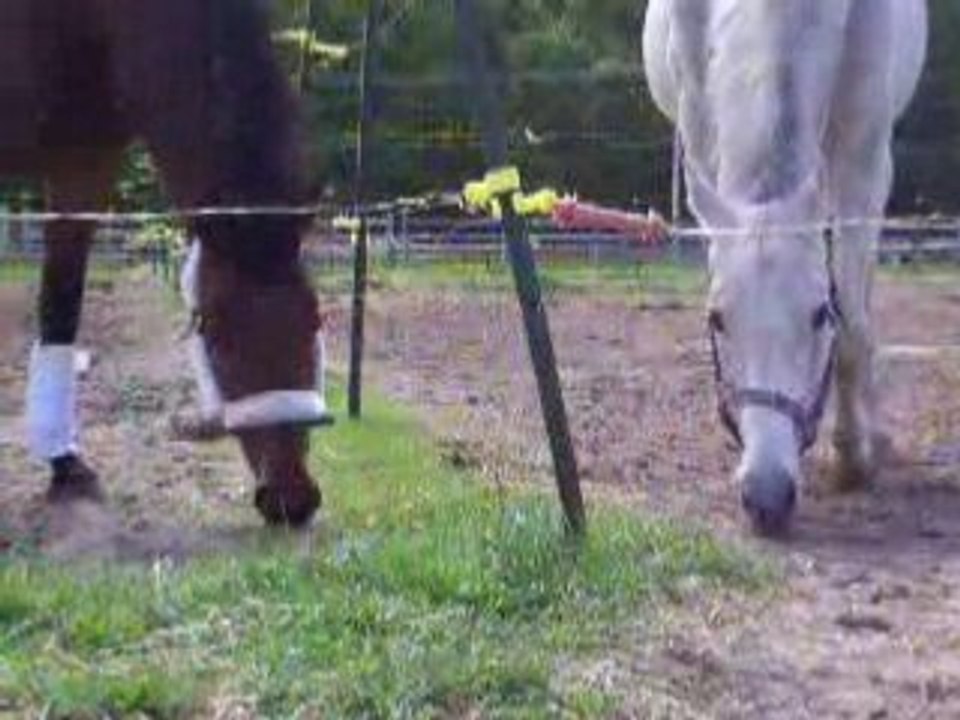 tamylee et tiffany2