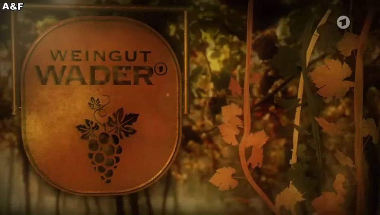 Weingut Wader -04- Neue Wege