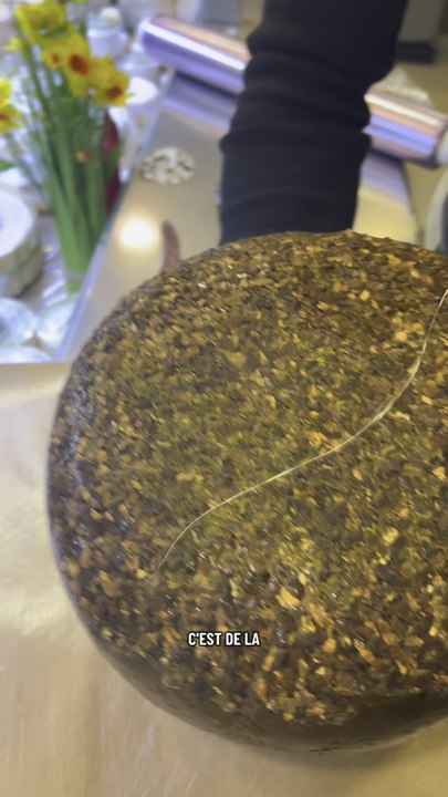 Le Bospaddenstoel, c’est une vraie pépite pour les amoureux de saveurs d’automne 🍂✨