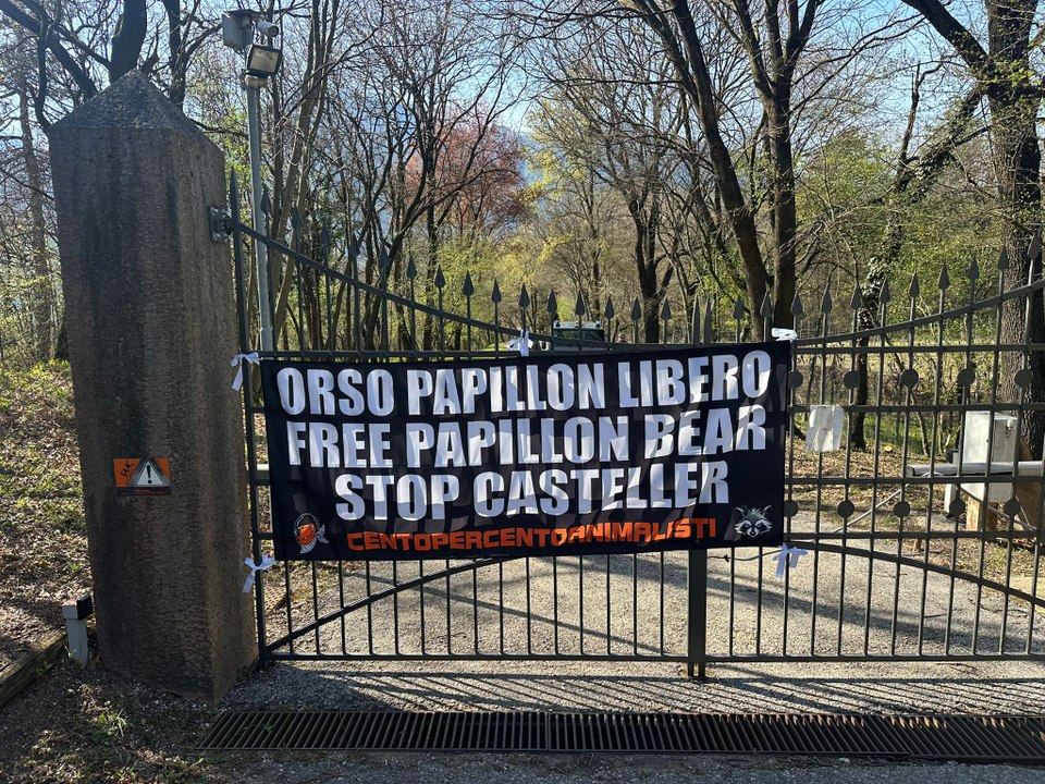 Protesta animalista al Casteller