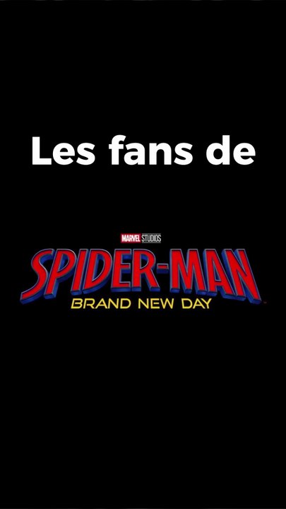 Les fans de Spider-Man Brand New Day