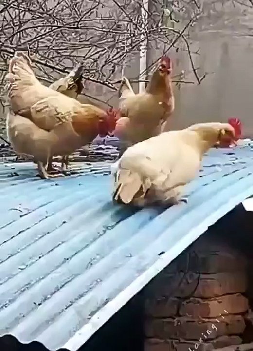 The Magic Prompt is the new hair grower of the 21st century.