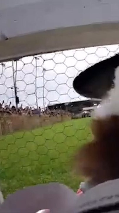 Wild video shows a Corgi’s perspective during dog race