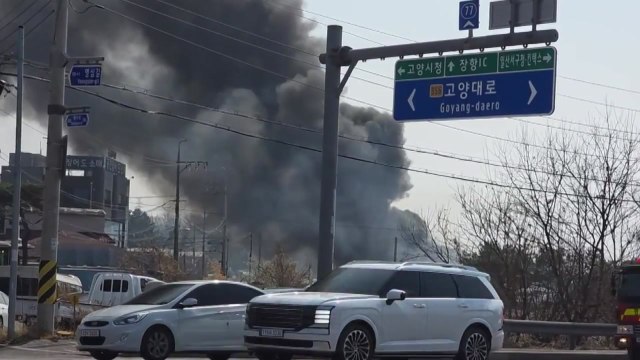 경기 고양시 비닐하우스에서 불...다친 사람 없어 / YTN