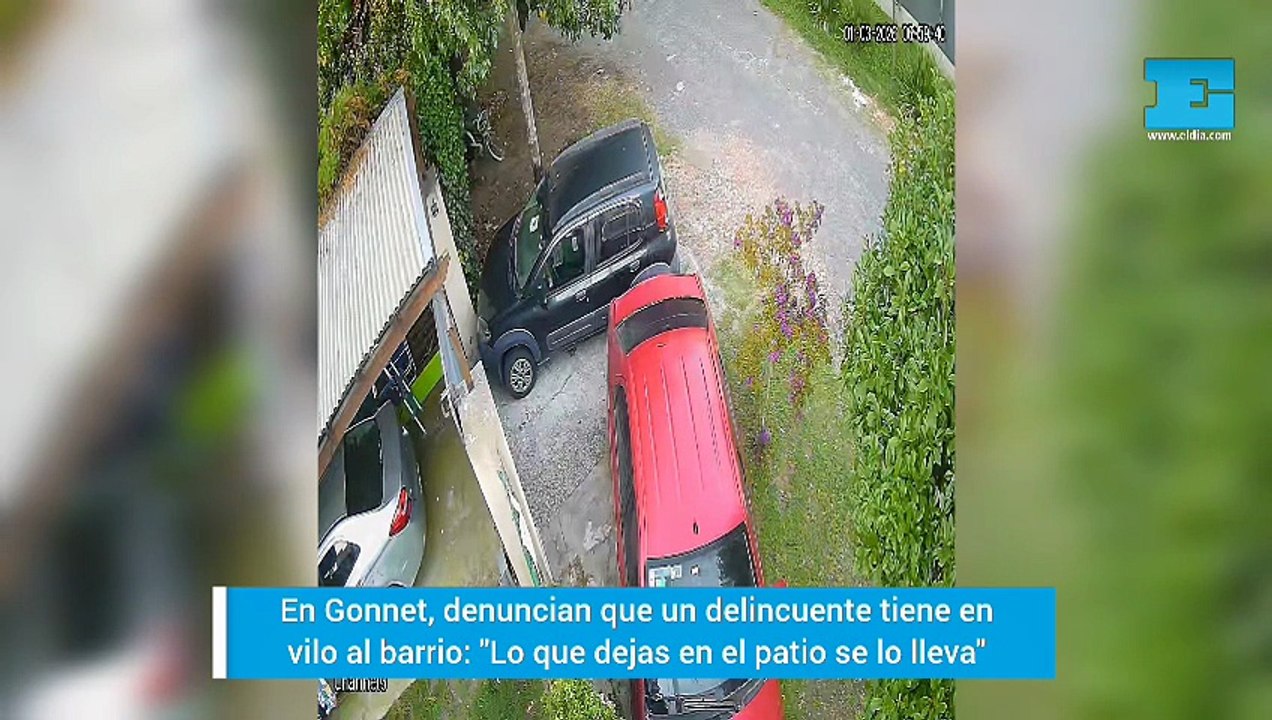 Un ladrón tiene en vilo a Gonnet: "Lo que dejas en el patio, se lo lleva"
