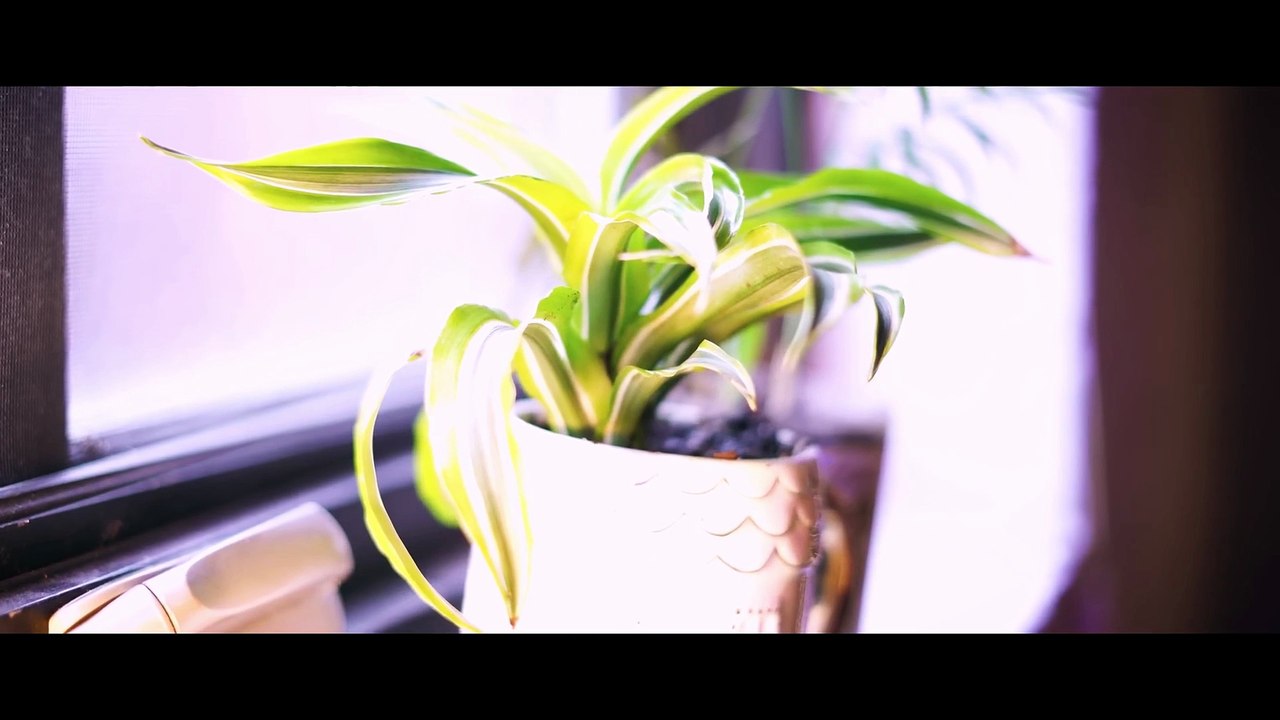 Numen's Lot  Chilling Horror SHM