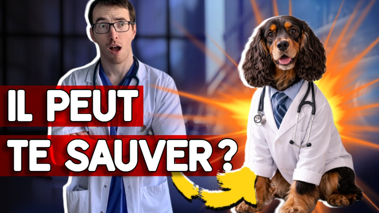 ARRÊT CARDIAQUE : ON VOUS MENT SUR CE CHIEN SAUVETEUR (voici la vérité)