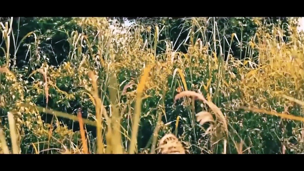 GENESIS OF THE ASHANTIS Tribal War Epic Full HD Movie Ancient African Battleq