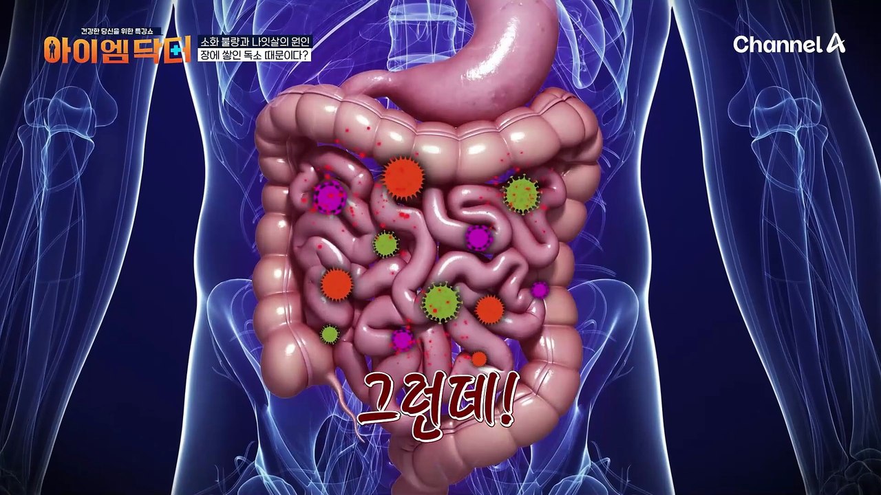많이 먹지도 않았는데 소화가 안 된다?! 꽁꽁 숨겨진 원인! '장독소'에 있었다
