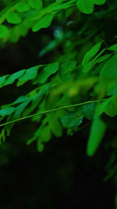 💚