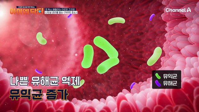뱃살 스트레스는 카무트 효소로 해결! 나잇살 관리까지 도와주는 관리템이 되었다