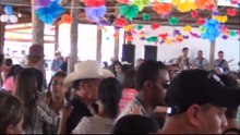 Banda marinho Pixe
