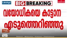 വയനാട് മൂടക്കൊല്ലിയിൽ വീടിന്റെ മുറ്റത്ത് നിൽക്കുകയായിരുന്ന 80കാരിയെ കാട്ടാന എടുത്തെറിഞ്ഞു