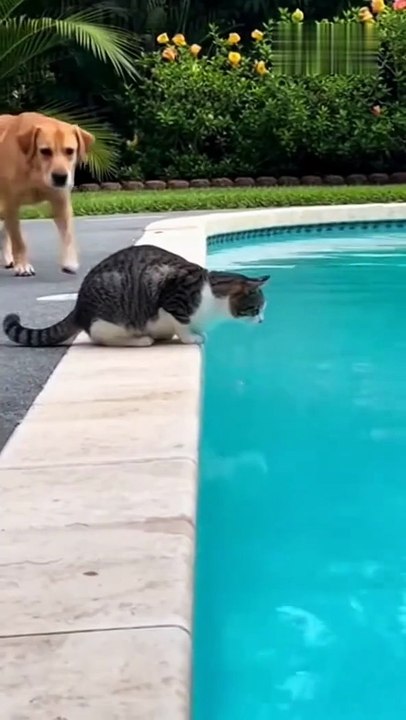 wait wait 😂 funny moments