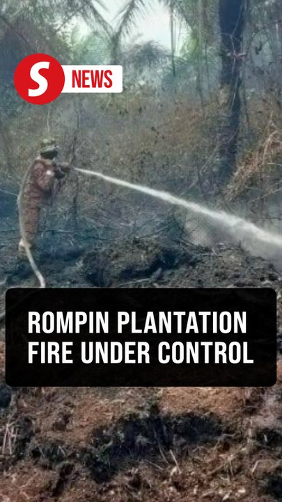 60ha of Rompin oil palm plantation fire brought...