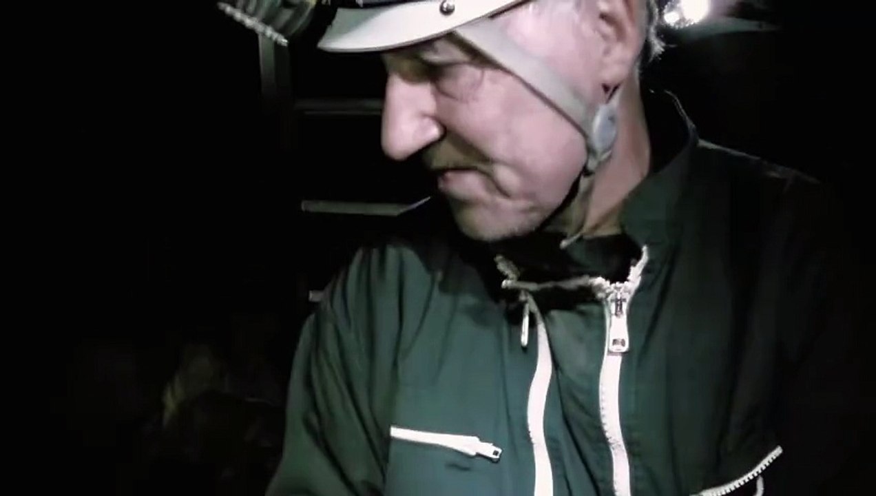 Cave Of Forgotten Dreams Movie