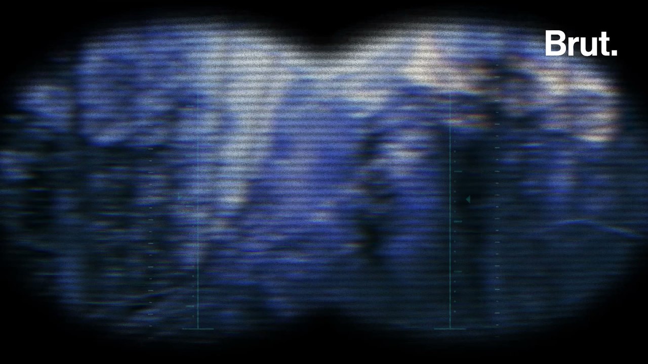 La traque d’un loup "insaisissable"