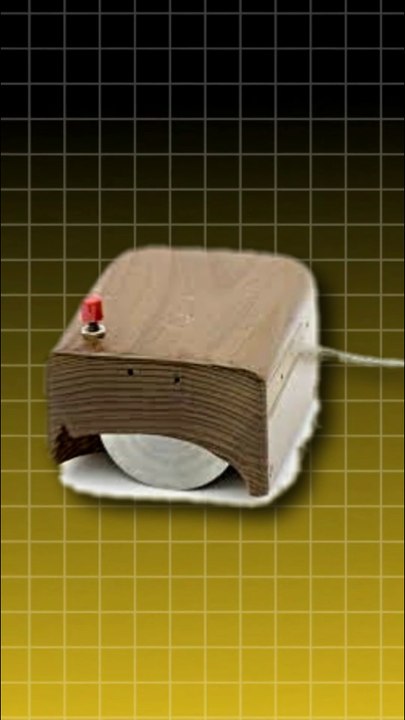 पहला Computer Mouse लकड़ी का क्यों था ?