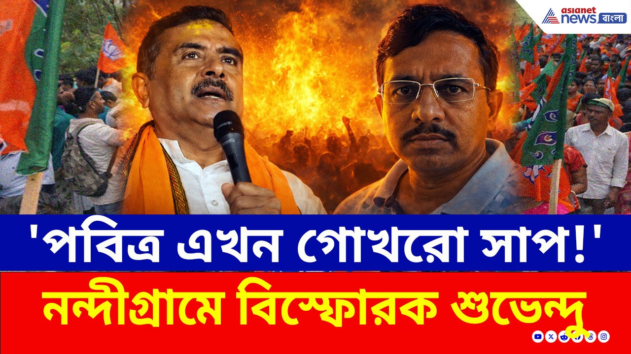'পবিত্র এখন গোখরো সাপ!' তৃণমূলের টিকিটে প্রাক্তন সঙ্গী, তোপ শুভেন্দুর