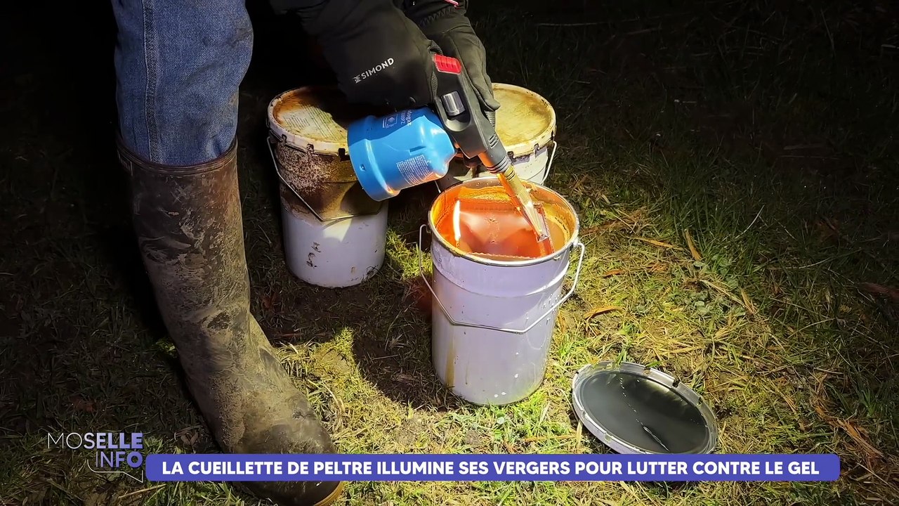 La cueillette de Peltre illumine ses vergers pour lutter contre le gel