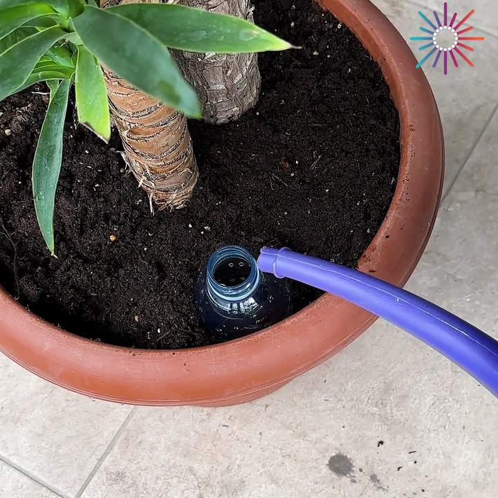 Clever Way To Water Your Plants