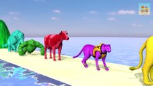Long Slide Game With Elephant Gorilla Buffalo Hippopotamus Tiger - 3d Animal Game - Funny 3d Animals - zoorush kids