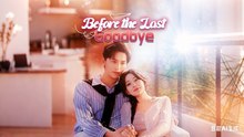 Before The Last Goodbye