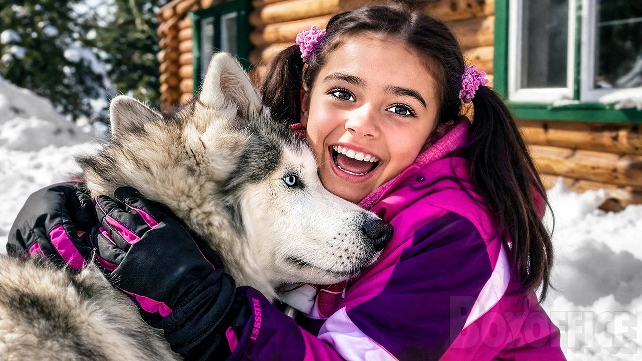 Un Husky à Sauver | Film Complet en Français | Famille, Animaux | Nouveauté