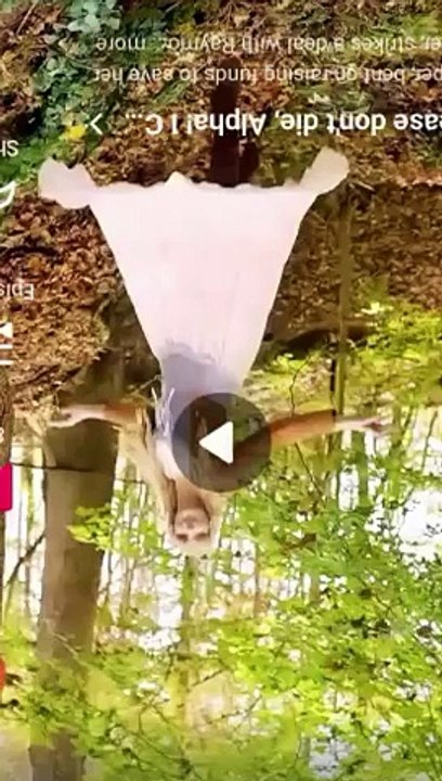 BEST 💙 Please Don't Die Alpha I Can Heal You Every Night 🌏🌟 Top Trending dailymotion🍏