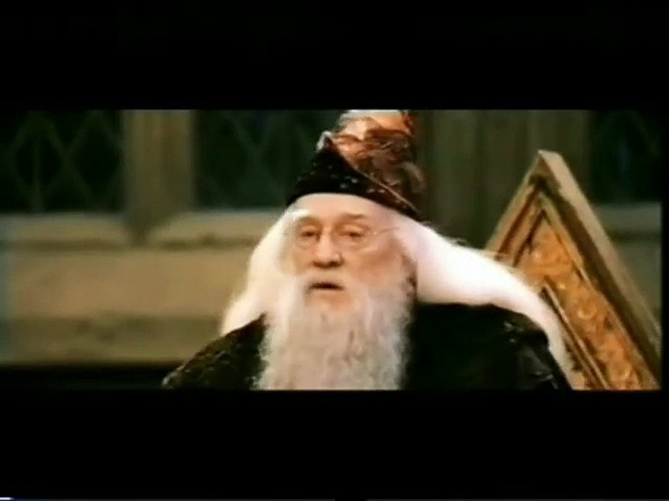 Harry Potter und ein Stein (2006)