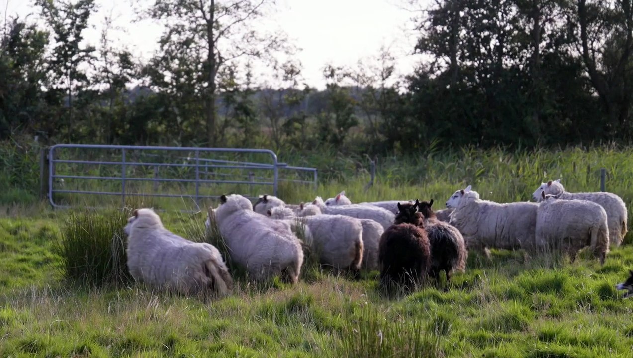 deletekeyifyouseethis (2026)