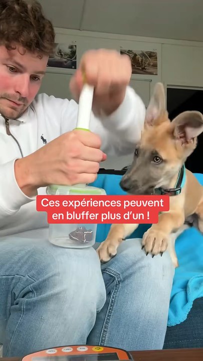 Ces expériences peuvent en bluffer plus d’un #sciences #experience #chien