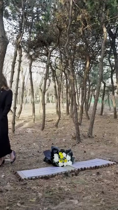 I Think My Wife Wants To Kill Me S2 - Video