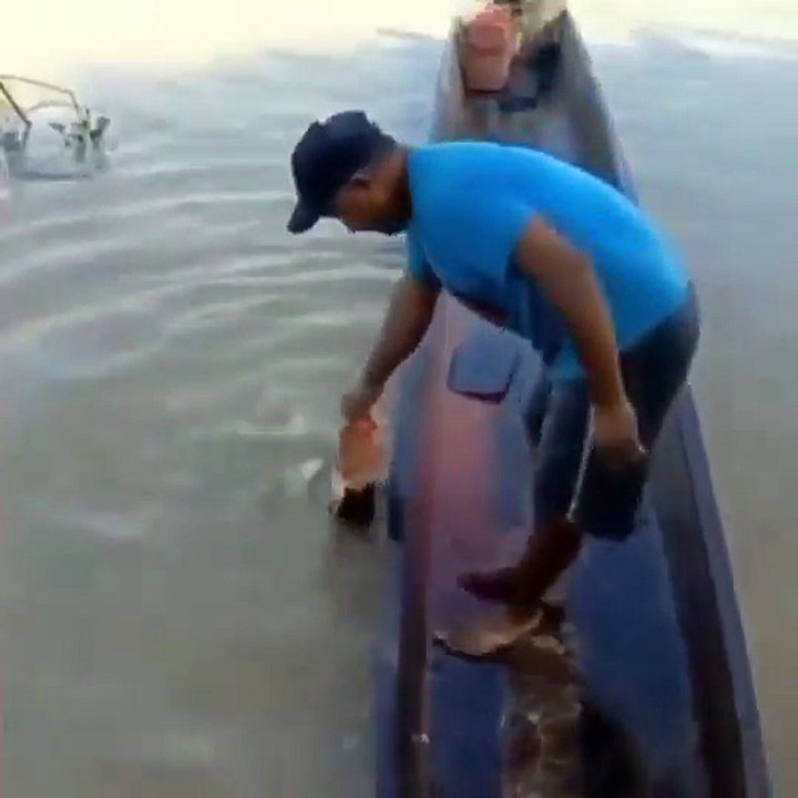 Man shows how to catch piranhas