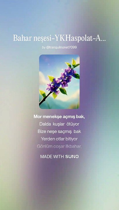 WhatsApp Video 2026-03-29 at 21.12.18 (2)