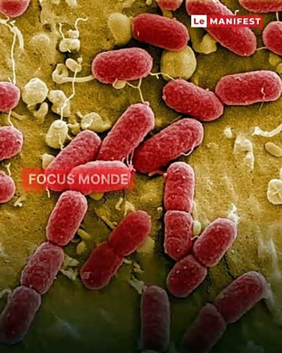 La résistance aux antibiotiques : une crise sanitaire mondiale silencieuse qui menace des millions de vies