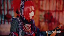 Royz MV：Nothing's Carved In Stone『Looking for a Reason』