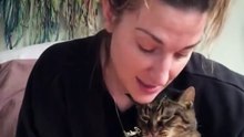Dramatische Katzen