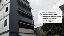 Waterproofing Bisa Mengatasi Dinding Yang Lembab Dari Dalam Rumah Nggak | Jasa Waterproofing Dinding
