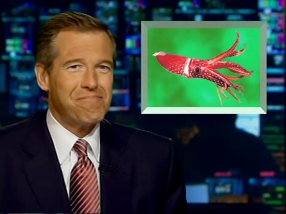 Sesame Street - Word of the Day - Brian Williams - Squid (2007) (HQ Version)