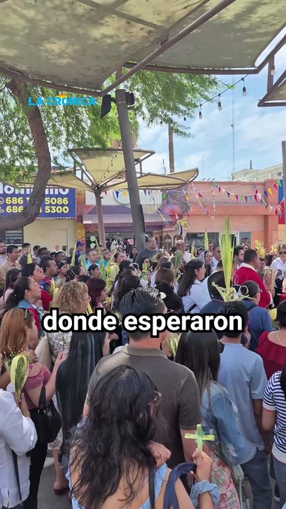 Inicia Semana Santa con el Domingo de Ramos en Mexicali